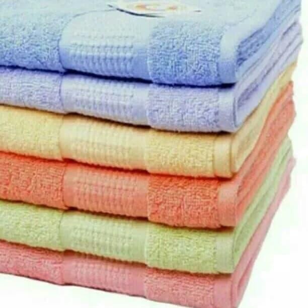 Handuk terry palmer 50 cm x 100 cm concept