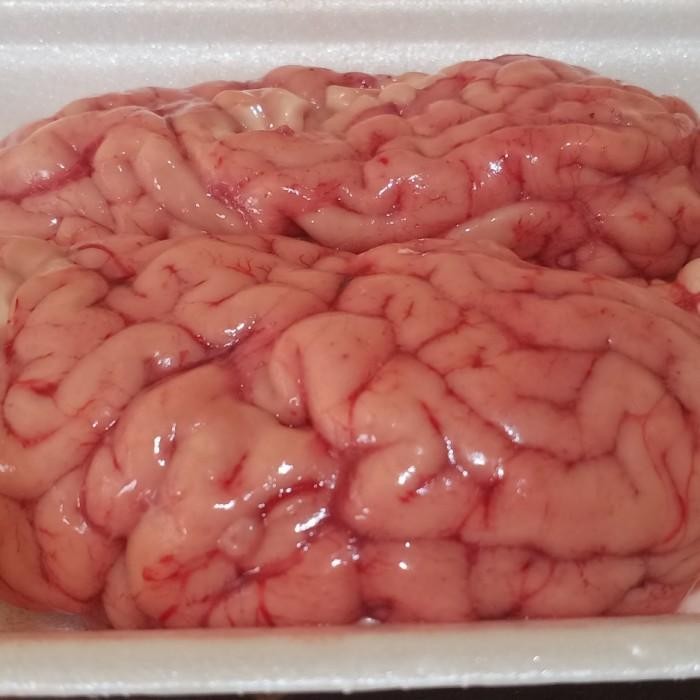 

(Allthebest) otak sapi segar