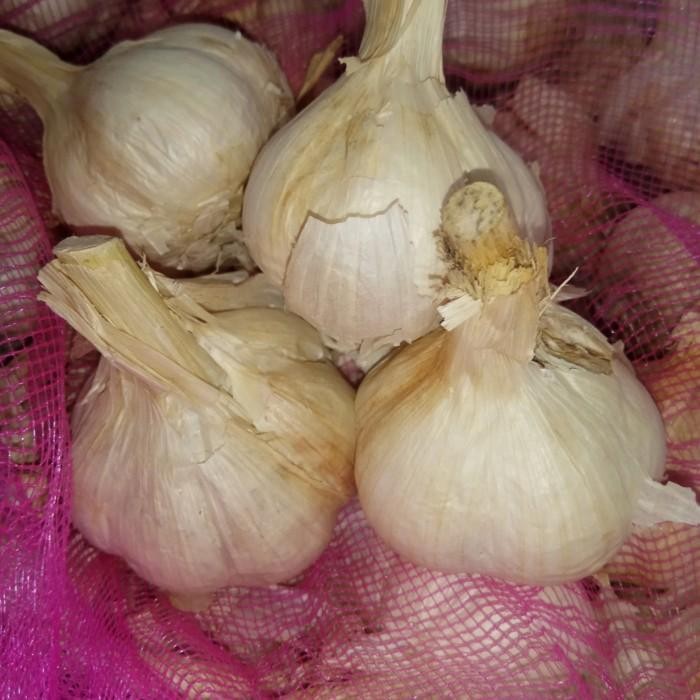 

(Allthebest) Bawang Putih Kating 500 gram