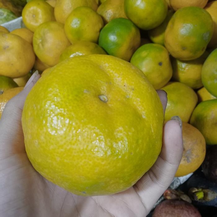 

TERMURAH buah jeruk keprok Garut jumbo READY STOCK