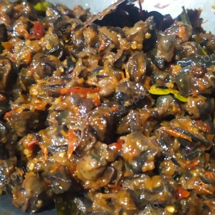 

(Allthebest) Rica Rica Bekicot Khas Jawa Indonesia Rasa Premium 500gr