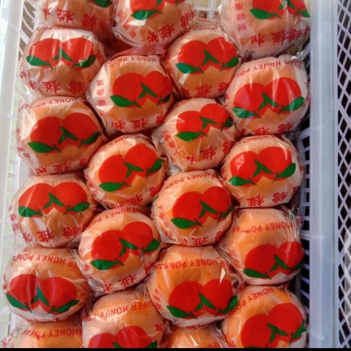 

ASLI JERUK PONKAM FRESH MANIS PER 1 KG READY STOCK