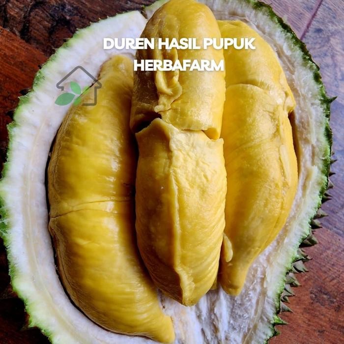 Pupuk Organik Herbafarm Cair - Kemasan 1 Liter Pupuk Tanaman