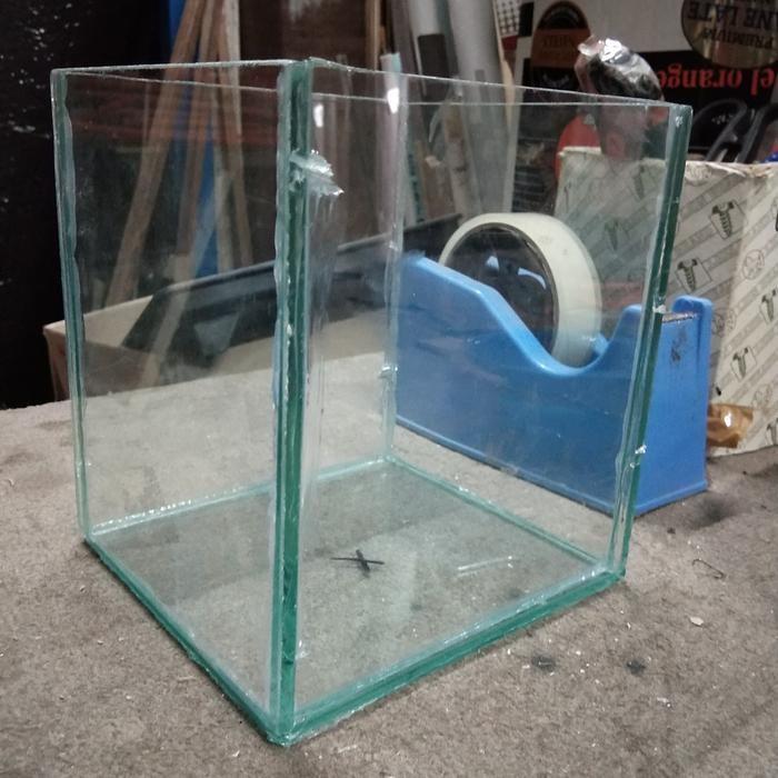 AGUARIUM IKAN CUPANG SIAP PAKAI 12 X 13 X 15 CM (KACA 5 MM)akuarium
