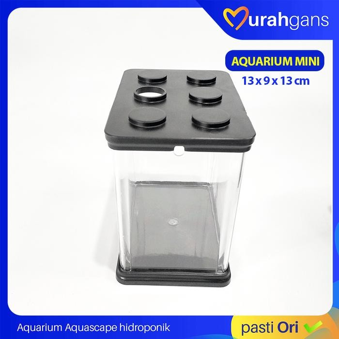 Aquarium Mini Ikan Cupang Ikan Hias Soliter Lego Pasti Diskon