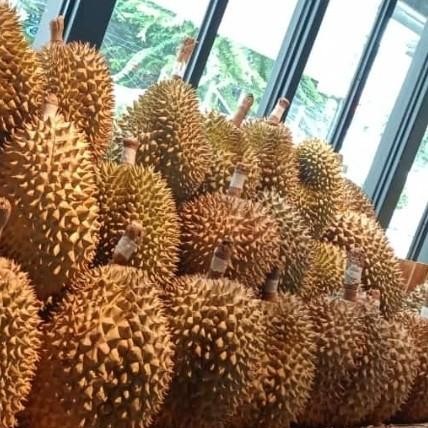 

ASLI durian monthong premium 1 buah utuh GARANSI manis READY STOCK