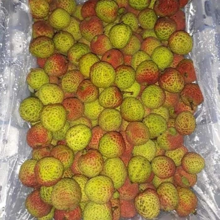 

ASLI Buah Leci Madu 1kg READY STOCK