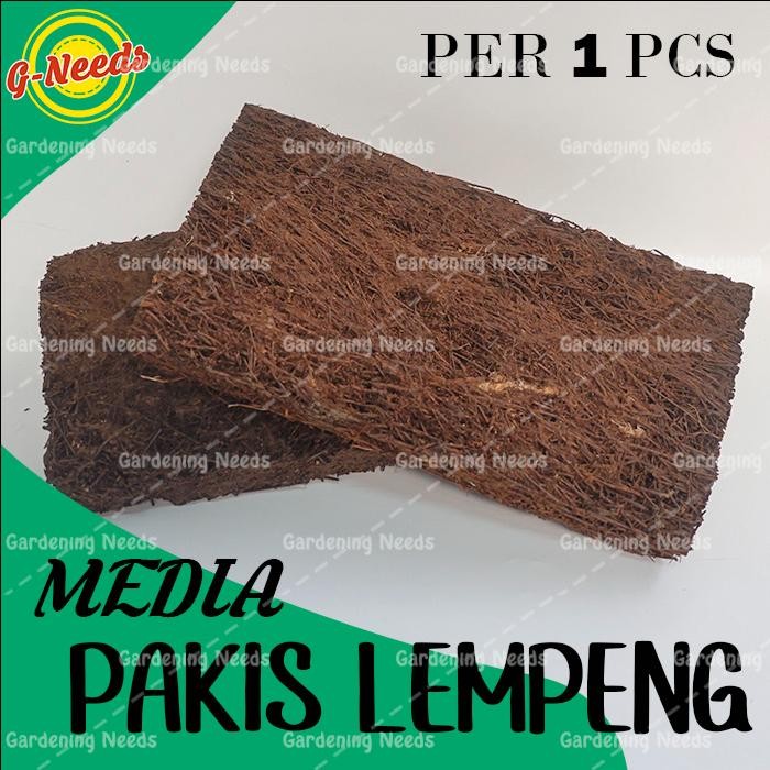 Media Pakis Lempeng / Media Anggrek / Pakis Kotak *