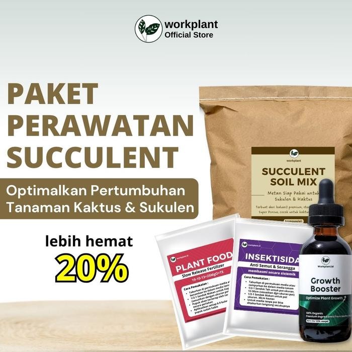 Workplant - Paket Perawatan Succulent Optimalkan Pertumbuhan Tanaman Hias Kaktus dan Sukulen