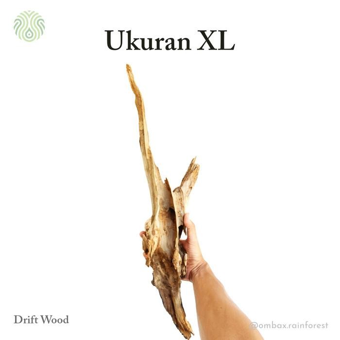 (Allthebest) Drift woon / kayu rentek - kayu jati / Aquascape, Vivarium, & Paludarium