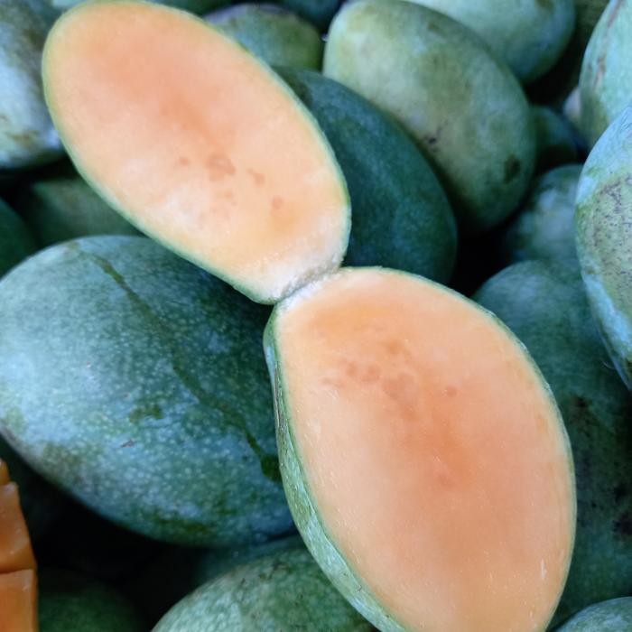 

SIAPKIRIM Mangga Madu READY STOCK