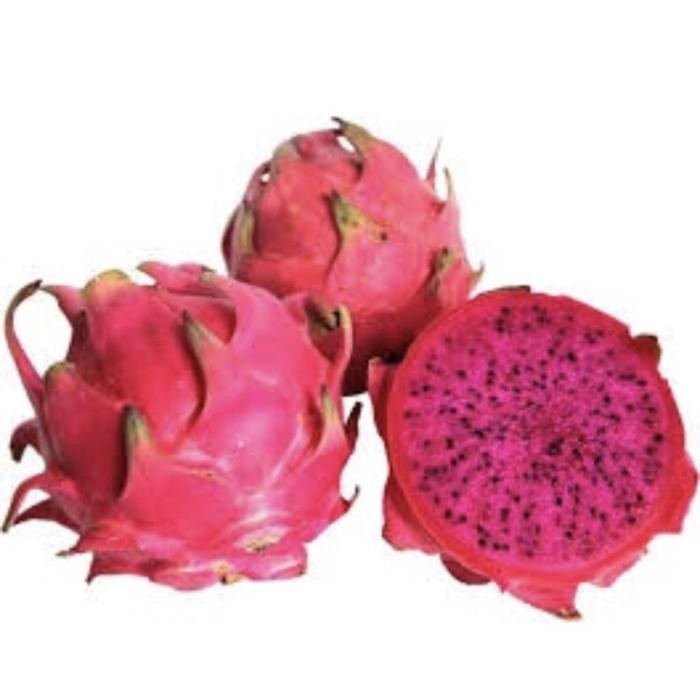 

ORIGINAL Buah Naga Merah FRESH / Dragon Fruit - 1 Kg [GROSIR] READY STOCK