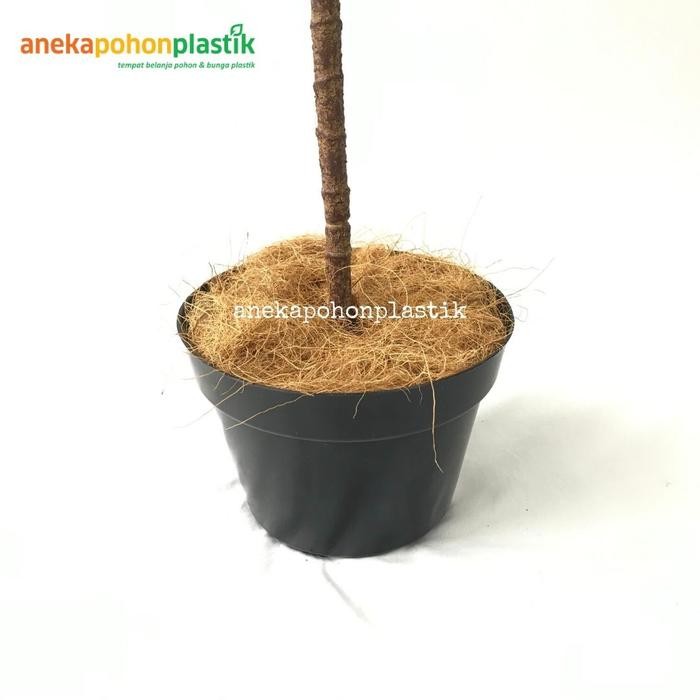 Pohon Ketapang Artificial Pohon Latex Pot Dasar Hitam Dekorasi