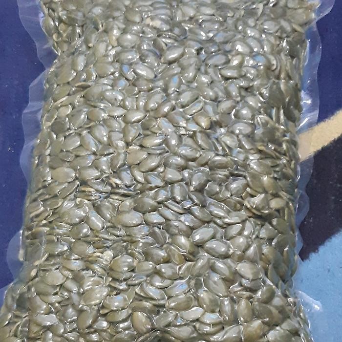 

Pumpkin Seed 1Kg Terlaris
