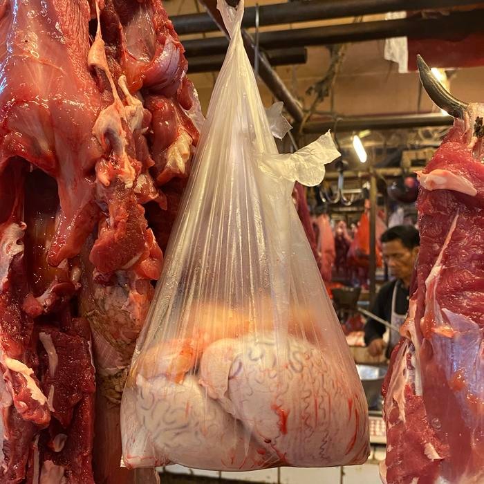 

Torpedo Sapi Lokal Kemaluan Terlaris