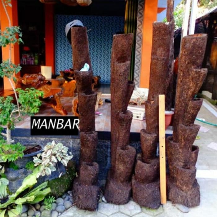 Pohon pakis media tanam anggrek/ tanaman gantung