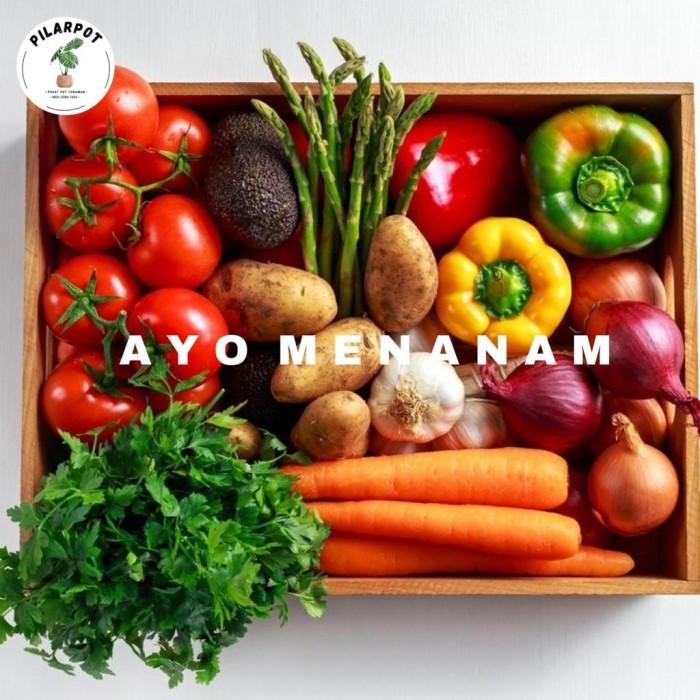 (Allthebest) BENIH BIBIT PAKET SAYURAN PEMULA ISI 10 BIBIT - PAKET SAYURAN PEMULA