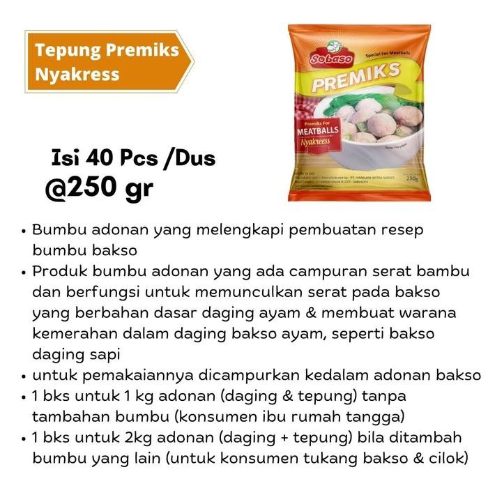 

Terbaru 1 Dus Tepung Bakso Premiks Nyakres Sobaso 250gr Ready