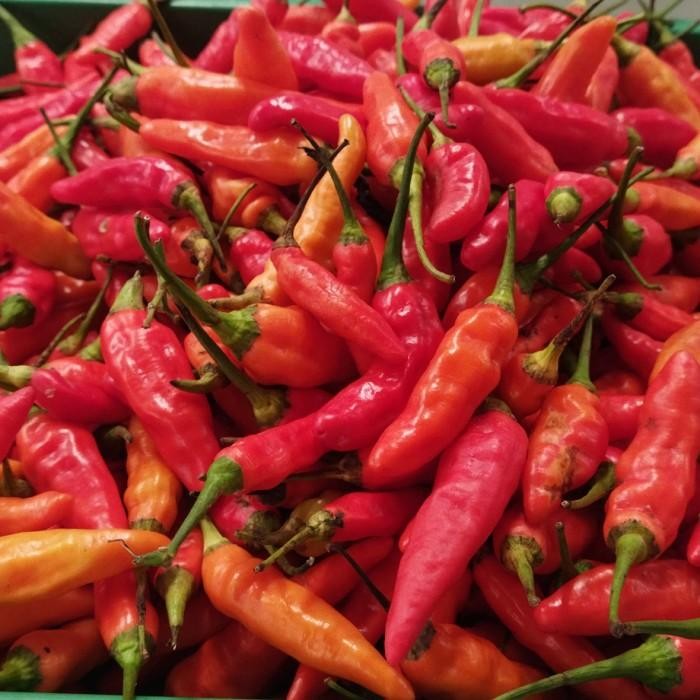 

(Allthebest) Cabe Rawit Merah / Cabe Gilab