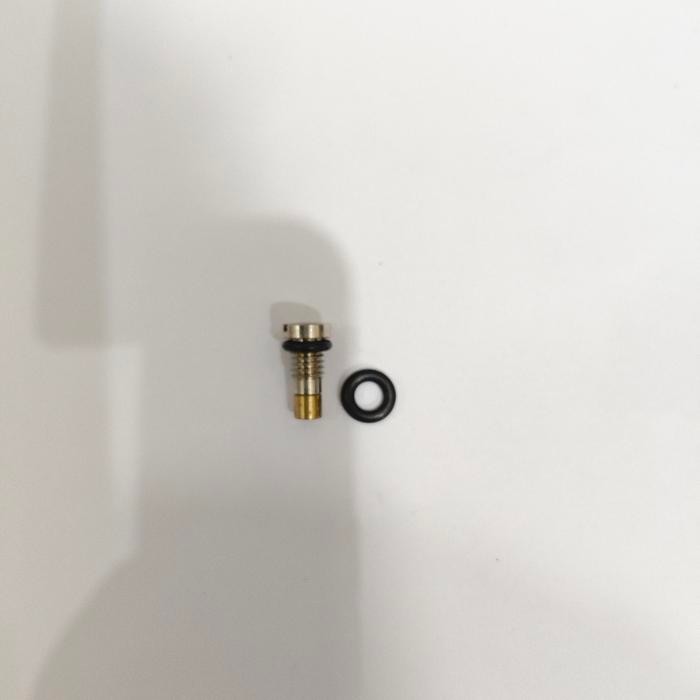 KHUSUS GRAB Inlet valve WE + Extra Ring