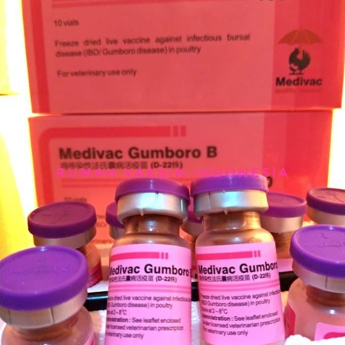 Vaksin Ayam GUMBORO B dosis 100 500 ayam