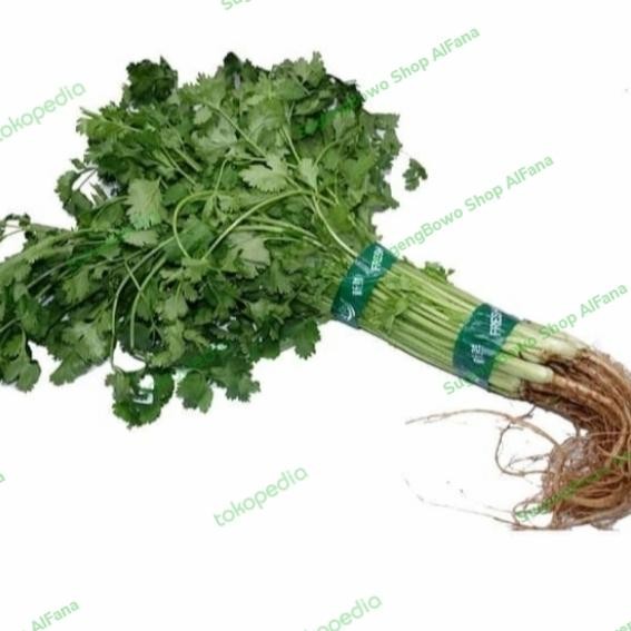 

Daun Ketumbar Segar 250 gram