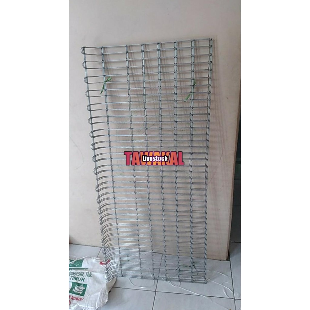 alas kandang batterai galvanis ayam petelur ukuran panjang 120x60cm