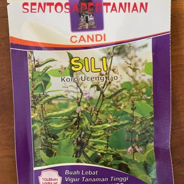 benih sayuran koro uceng ijo SILI 10gram dari CAP CANDI