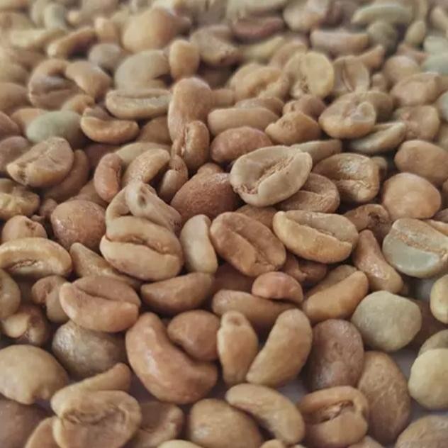 

COLOMBIA EL DIVISO AJI BOURBON 24 WBC GREEN BEANS