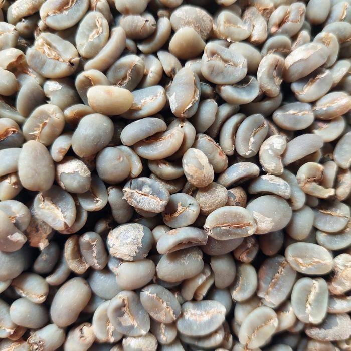 

Biji Kopi Mentah (GB) The "Real" Blue Batak Dolok Sanggul