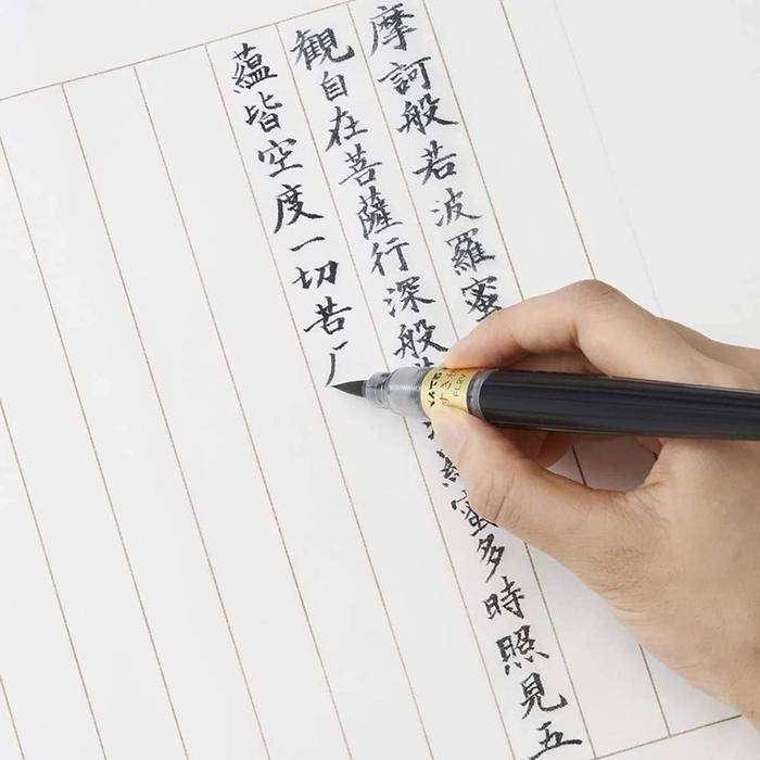 

Xfl2V Pentel Brush Pen Medium Character