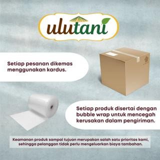 

Pure Dark Cocoa Powder / Bubuk Coklat Murni Ulutani 250 Gr