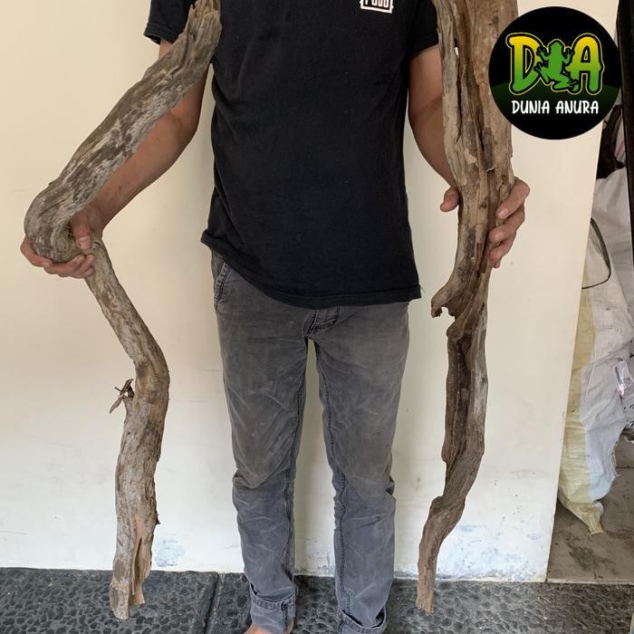 SIAP KIRIM KAYU SANTIGI LAUT UKURAN XL AQUARIUM AQUASCAPE