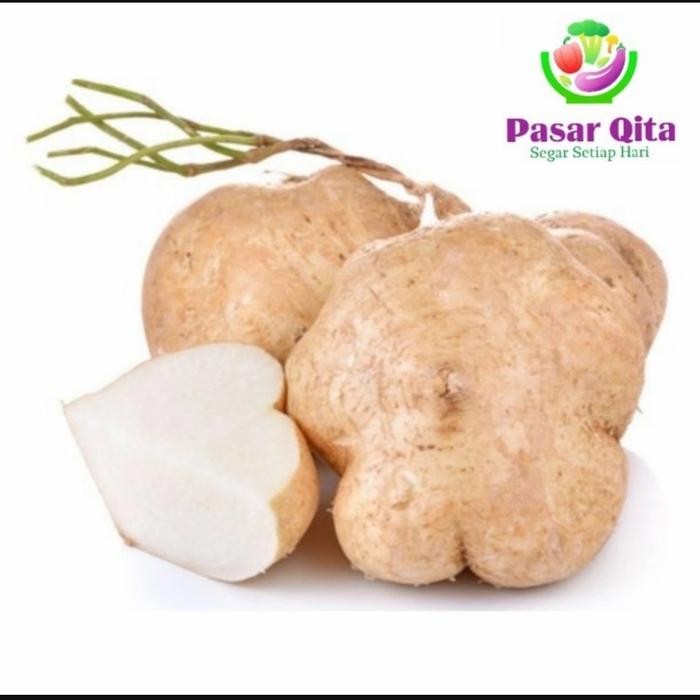 

NATURE- Buah Bengkuang - 1 Kg