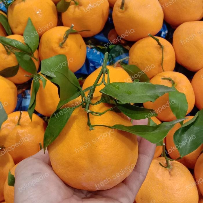 

NATURE- Jeruk Chunjian Manis 1Kg