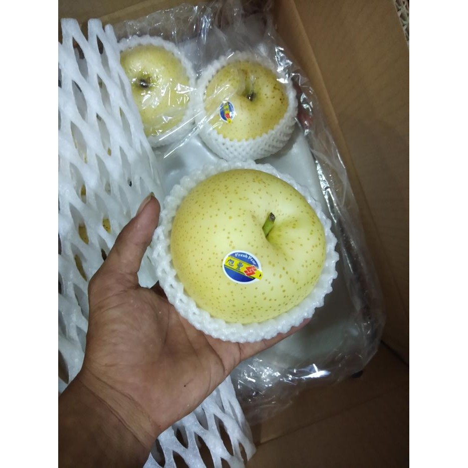 

NATURE- Buah Pear Jepang