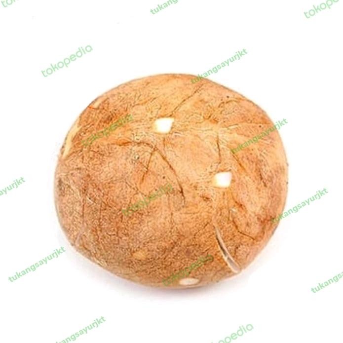 

NATURE- Kelapa Utuh 1 Buah