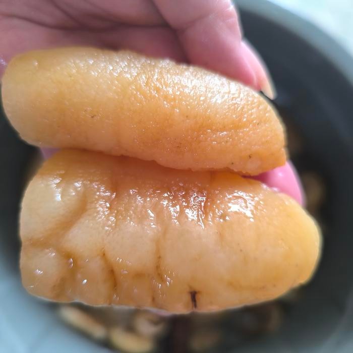 

Siap Kirim Teripang Laut Basah / Sea Cucumber Haisom 500gr - Siap Masak