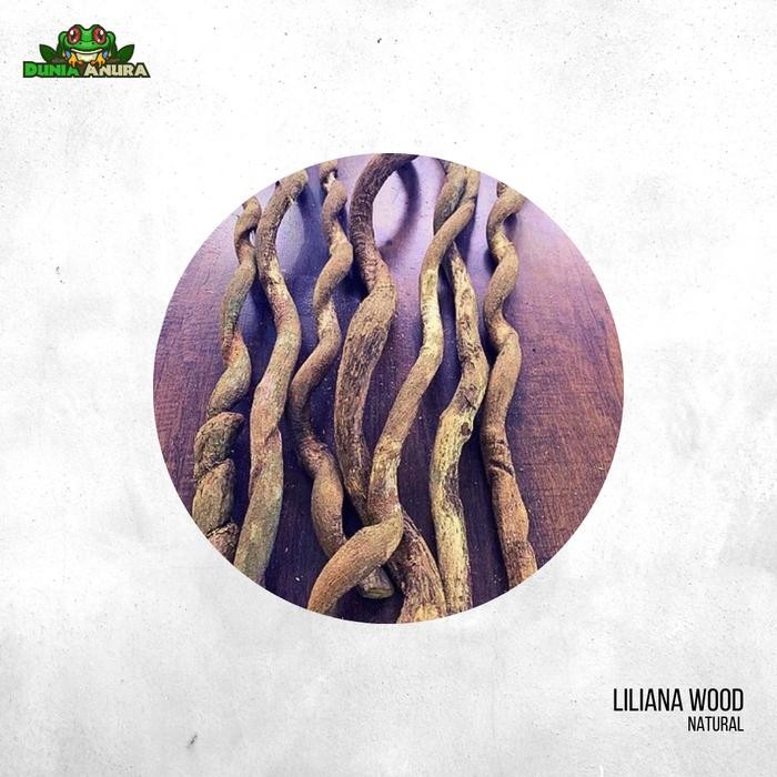 Kayu Liliana Natural Hardscape Terrarium Vivarium