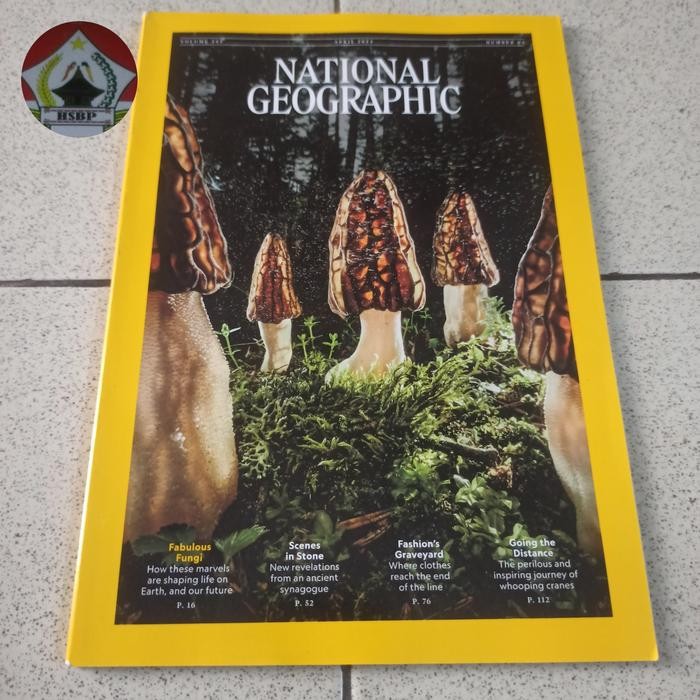 NAT GEO NATIONAL GEOGRAPHIC APRIL 2024 . NAT GEO ENGLISH EDITION.