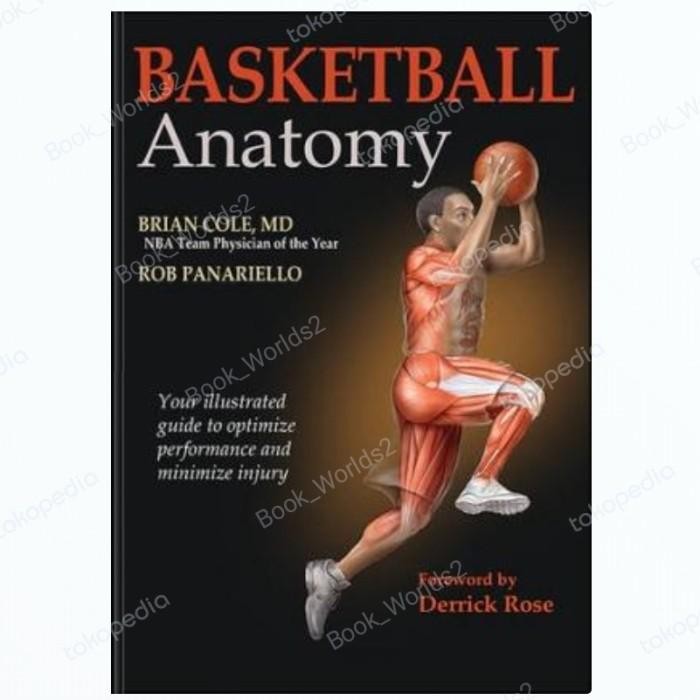 

Jual Basketball anatomy