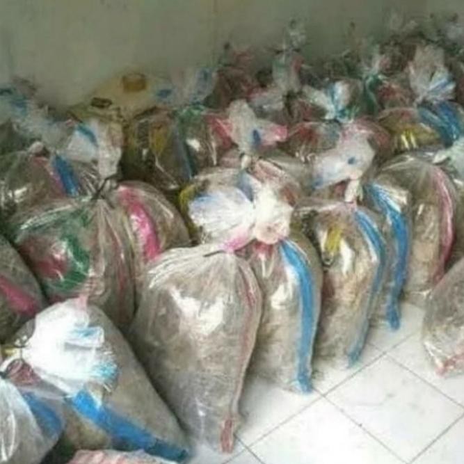 

Jangkrik alam karungan 1/2 kg