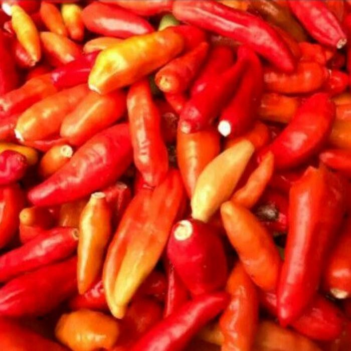 

LUXEHEALTH- Cabe Rawit Merah Petik Fresh 250Gram - Barang Baru Dan Segar Setiap Hari Siap Dipesan