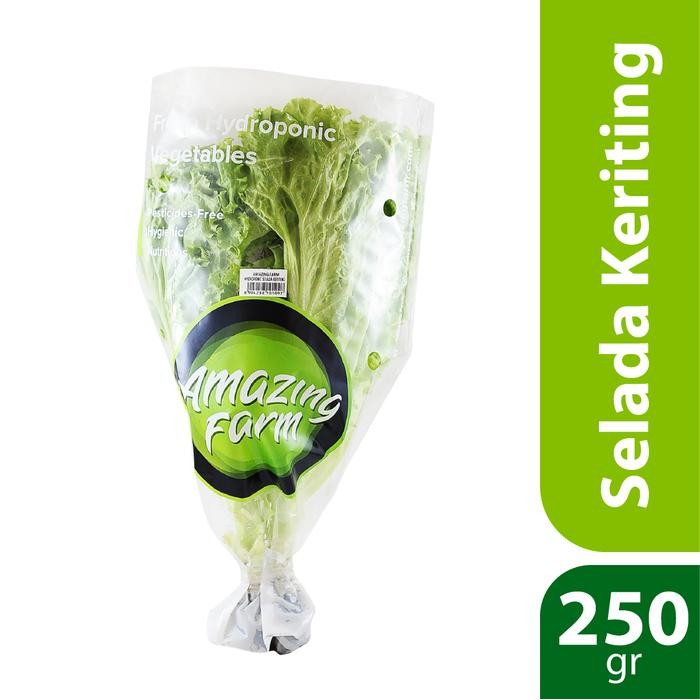 

LUXEHEALTH- Selada Keriting Hidroponik 250 Gram Amazing Farm