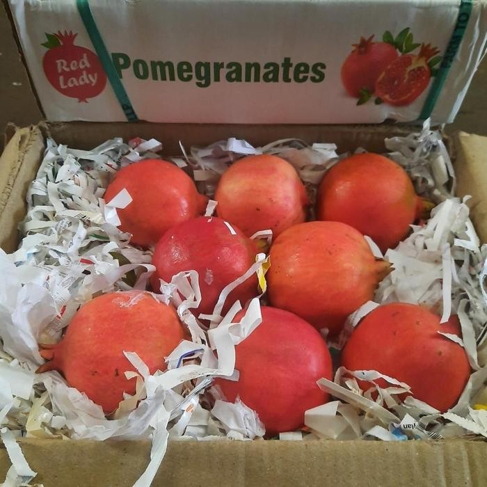 

Delima merah impor per dus