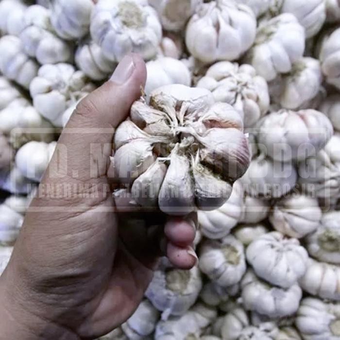 

NEW PRODUK BAWANG PUTIH UTUH GARLIC REPACK REE RAIN