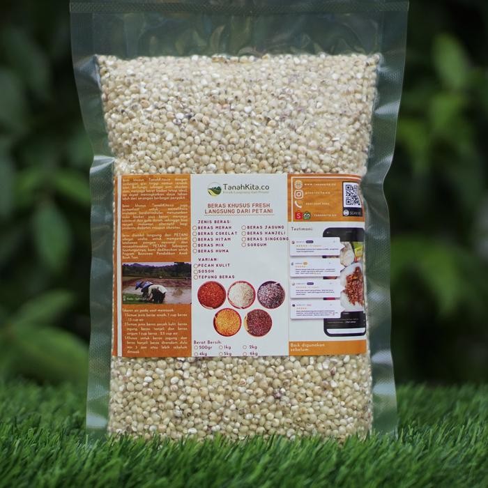 

Pilihan- Beras Sorgum Fresh Langsung Dari Petani I Sorghum Putih I 500Gr Vacuum