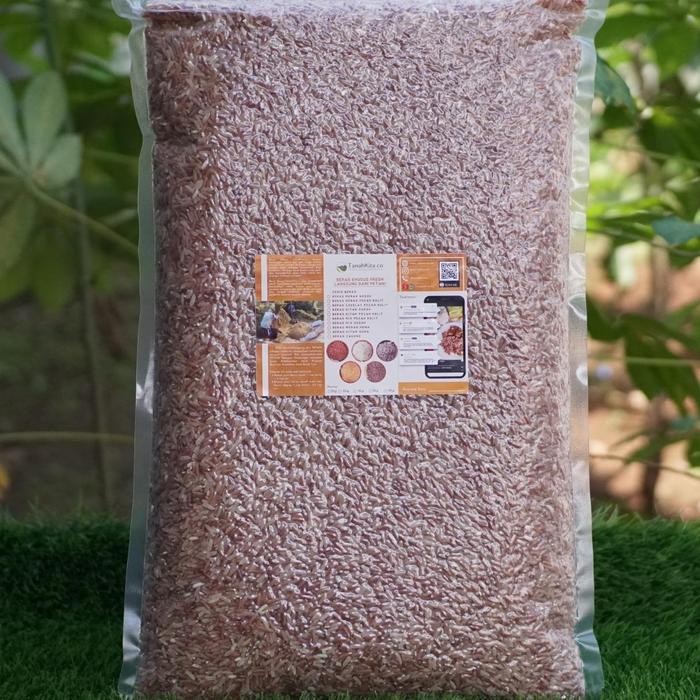 

Pilihan- Beras Merah Sosoh Pulen Fresh Baru Panen Langsung Dari Petani - 5Kg -