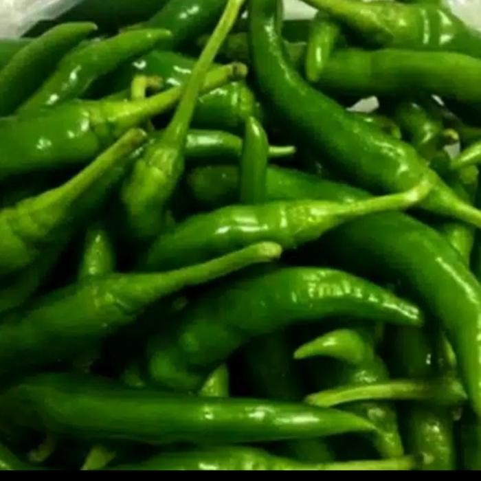 

Pilihan- Cabe Ijo Besar 1 Kg