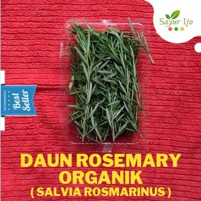

Pilihan- Daun Rosemary Organik 30 Gr Fresh Salvia Rosmarinus Sayur Hijau Segar